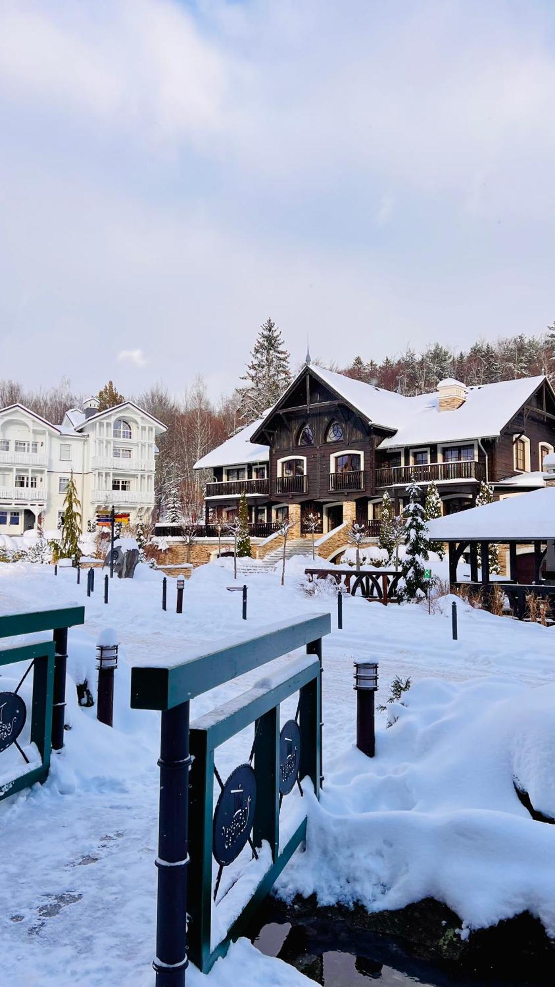 Viking Valley Suite: Garden Terrace, Garage & Wellness Access Szklarska Poreba Exterior photo